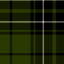 View the MacLean Tartans >>