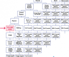 Family Tree Relationship Chart