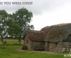 Love for Culloden!